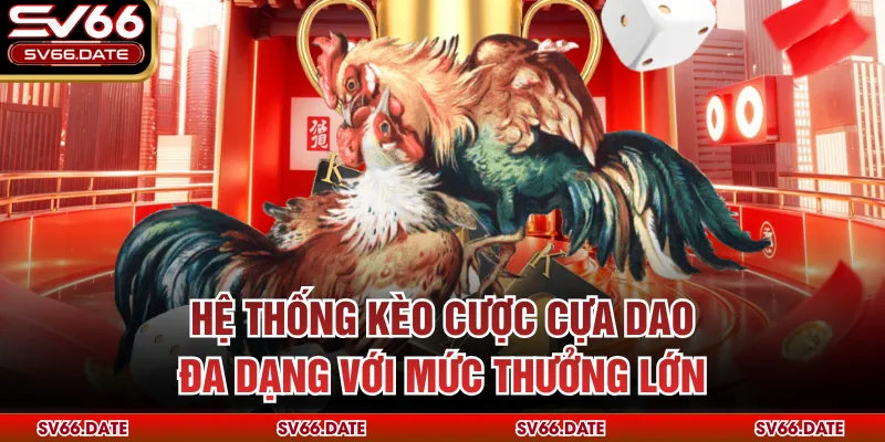 Hệ thống kèo cược cựa dao đa dạng với mức thưởng lớn